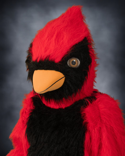 Philip Cardinal : School Mascot